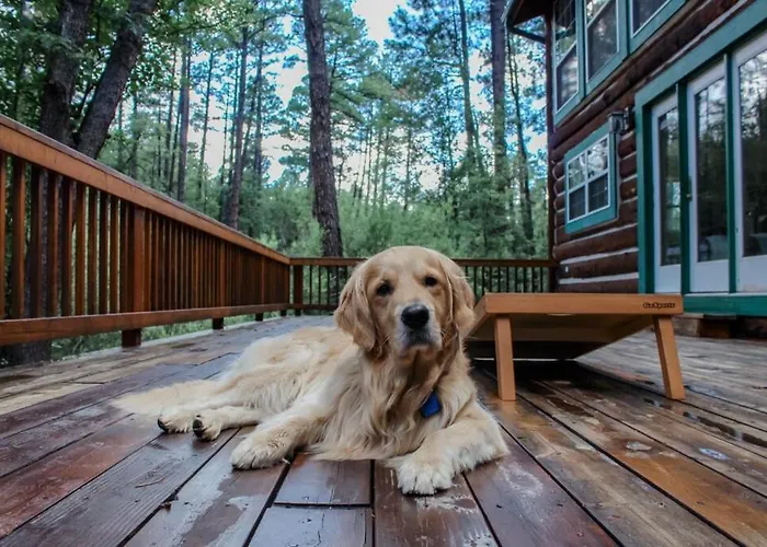 Billy Creek Luxury On The Creek - Sleeps 18! Pinetop-Lakeside