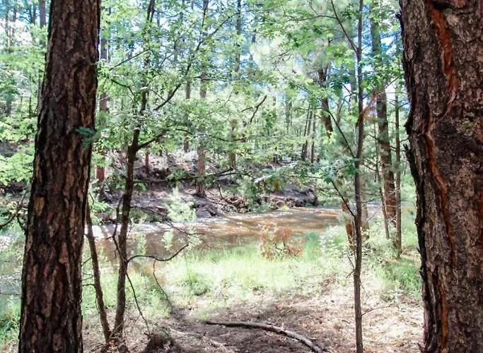 Billy Creek Luxury On The Creek - Sleeps 18! Pinetop-Lakeside